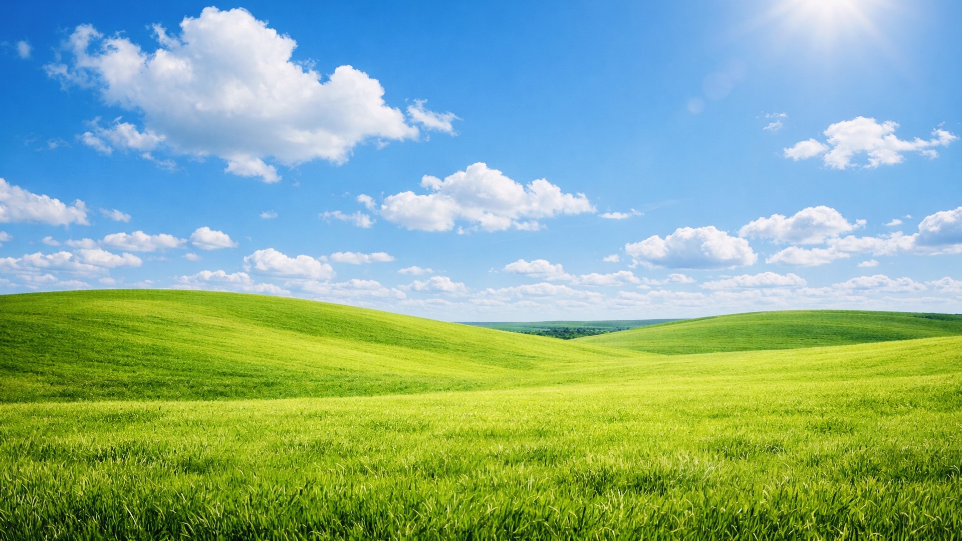 Windows Wallpaper 4K – Fresh Nature Scene