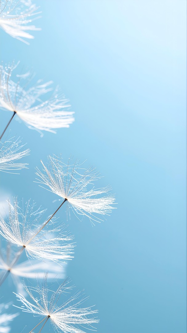 Dandelion Seeds HD Wallpaper 4K - Soft Blue Sky