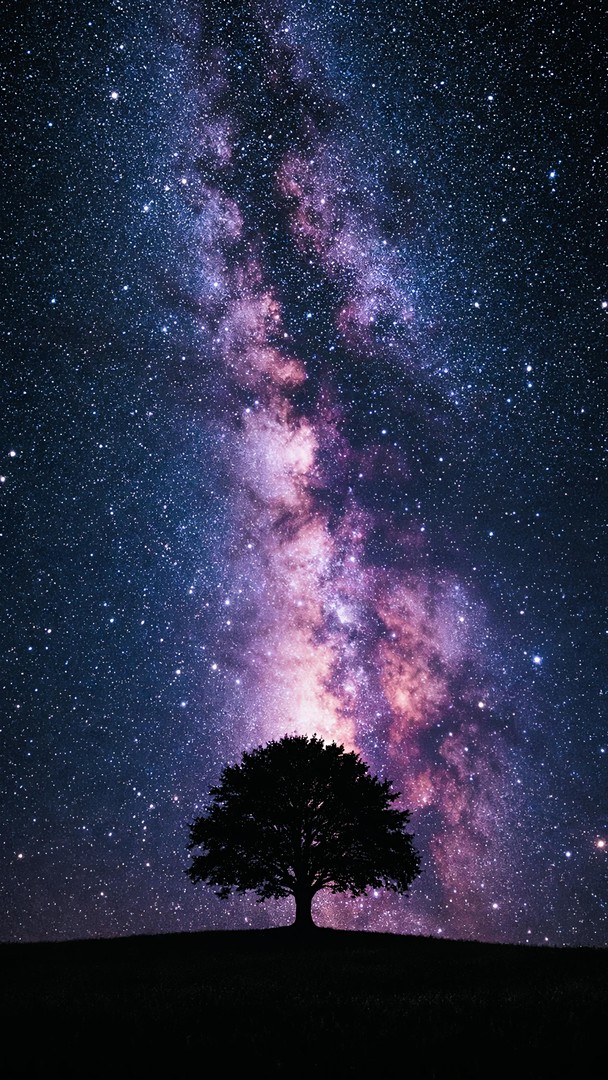 Milky Way Night Sky HD Wallpaper 4K - Lone Tree Stars