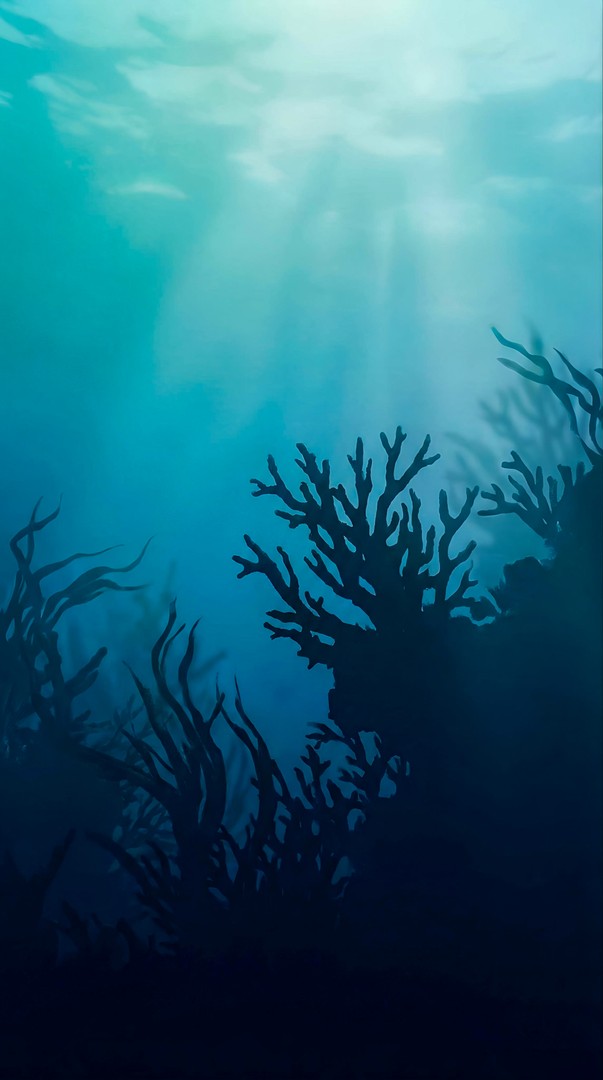 Underwater  HD Wallpaper 4K for mobile