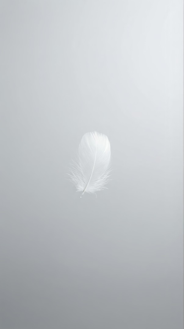 White Feather Floating Minimal 4K Wallpaper