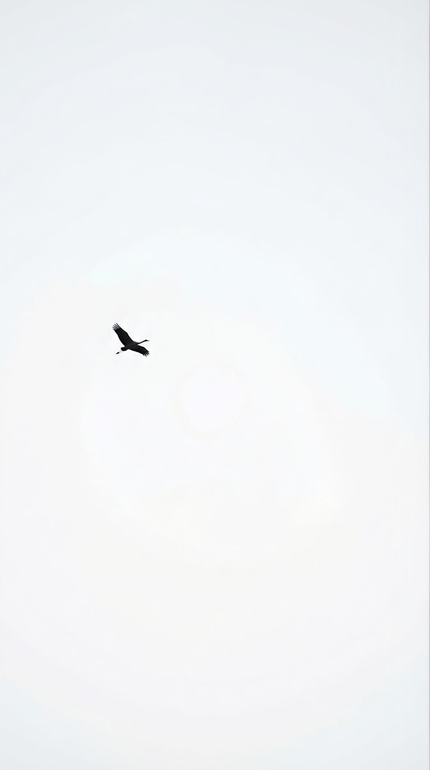 Lone Bird Flying in White Sky Minimalist 4K Wallpaper