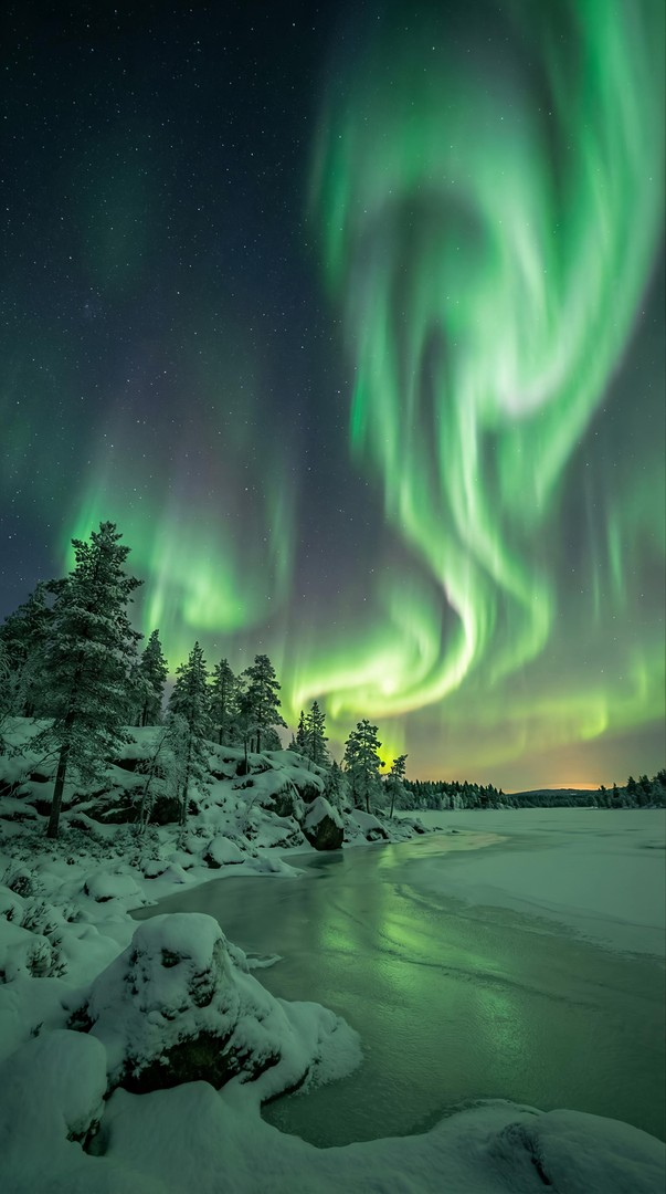 Northern Lights Aurora Borealis Winter Forest 4K Wallpaper