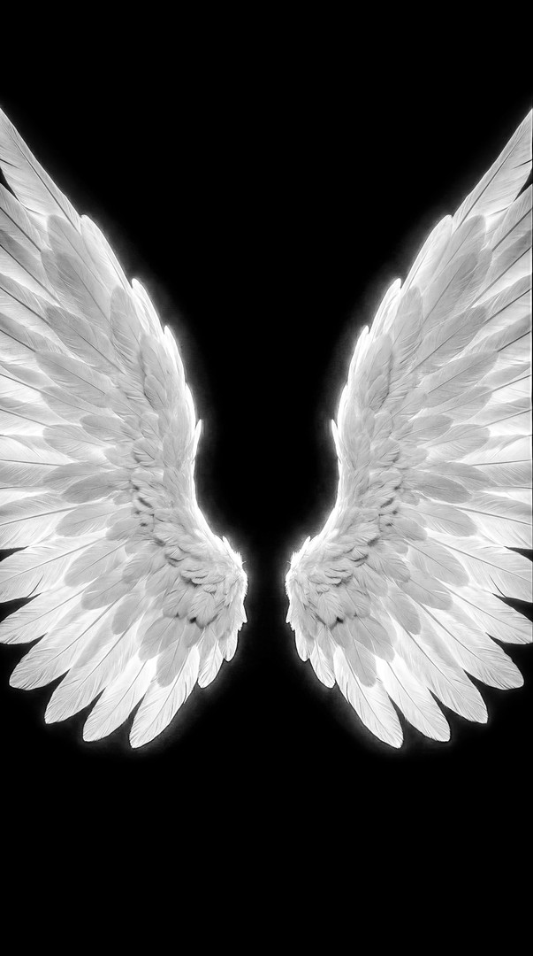 White Angel Wings on Black Background 4K Wallpaper