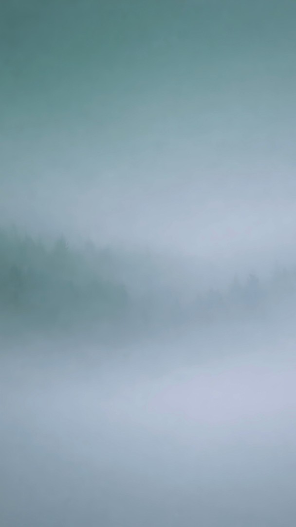 Misty Forest Blur Minimal HD Wallpaper 4K