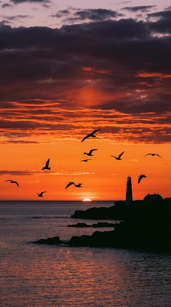 Lighthouse Sunset Silhouette HD Wallpaper 4K