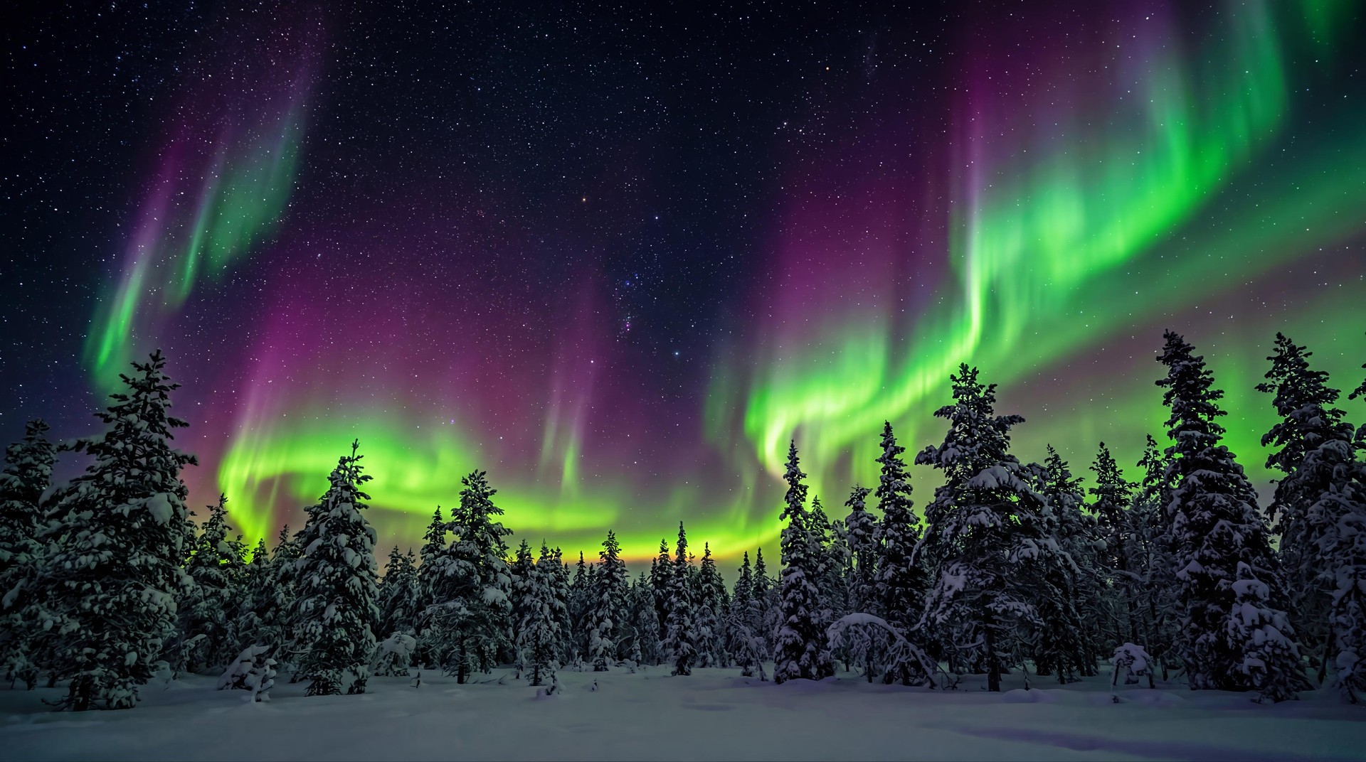 Northern Lights Snow Forest HD Wallpaper 4K - Aurora Night Aesthetic