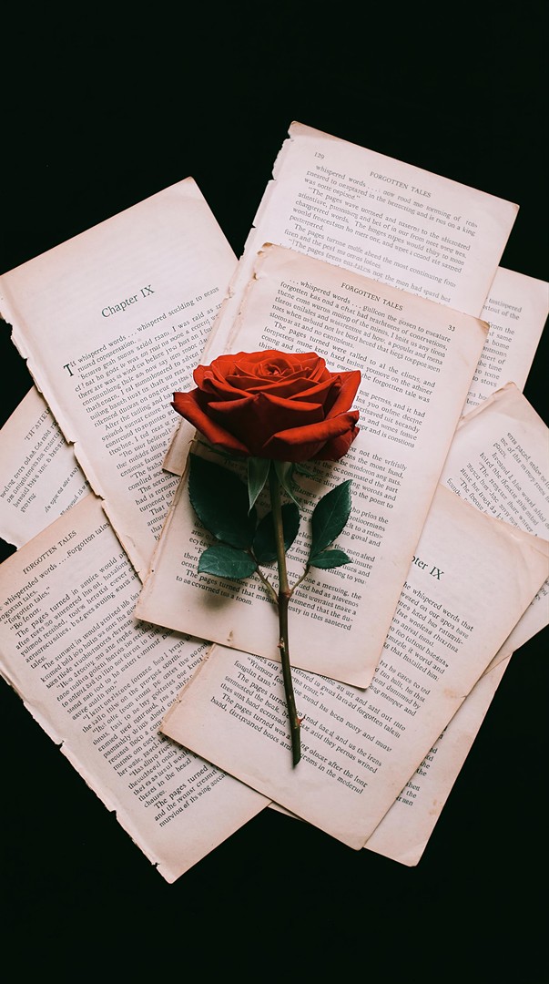 Red Rose Books HD Wallpaper 4K - Vintage Aesthetic Still Life