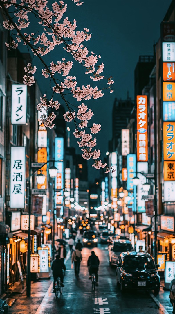 Cherry Blossom City Night HD Wallpaper 4K - Urban Aesthetic