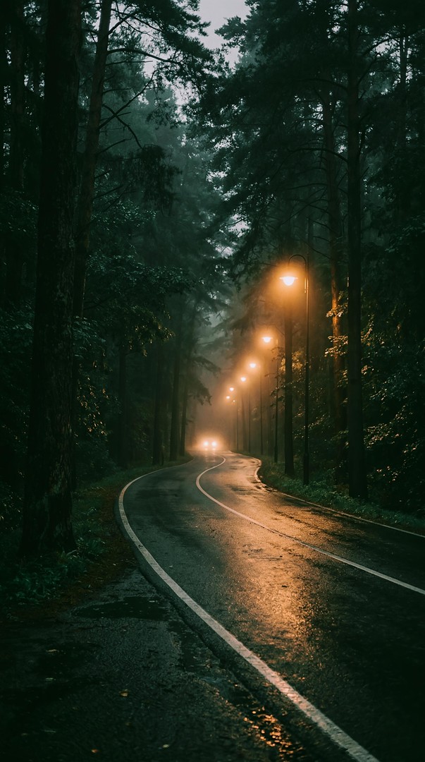 Foggy Forest Road HD Wallpaper 4K - Night Lights Aesthetic
