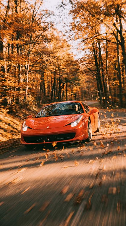 Ferrari Autumn Forest Drive Front HD Wallpaper 4K